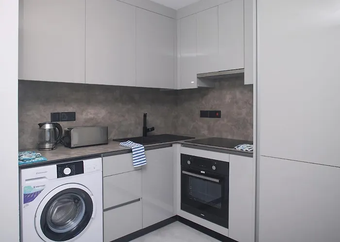 Elegant Penthouse In Centre